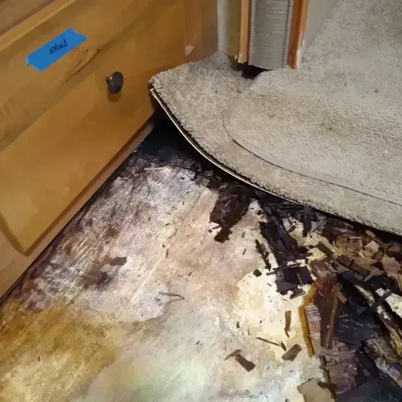 Best Wood Floor Water Damage Service in Leonardtown, MD